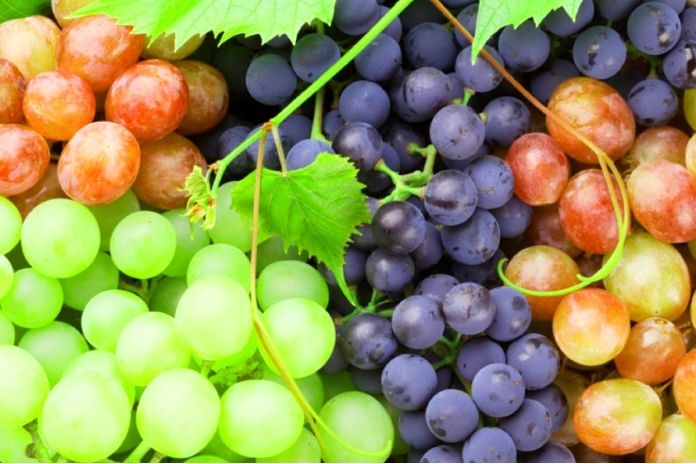 The Truth About Grapes