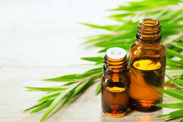 What Is Tea Tree Oil, And Where Does It Come From