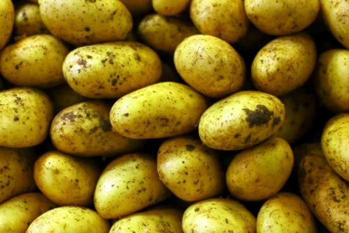 Seven Reasons To Eat More Potatoes