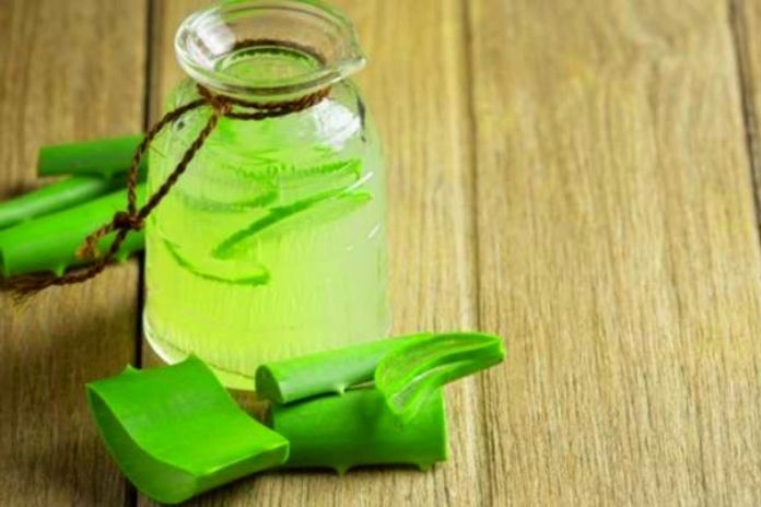 Aloe Vera What Happens To The Body With One Shot A Day