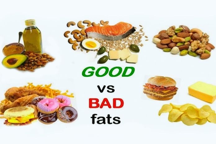 Good And Bad Fats – Understand The Difference
