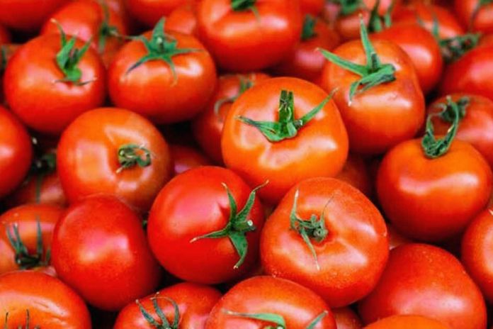 Tomato Properties, Benefits And Contraindications