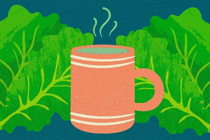 Does Lettuce Tea Help You Sleep Better