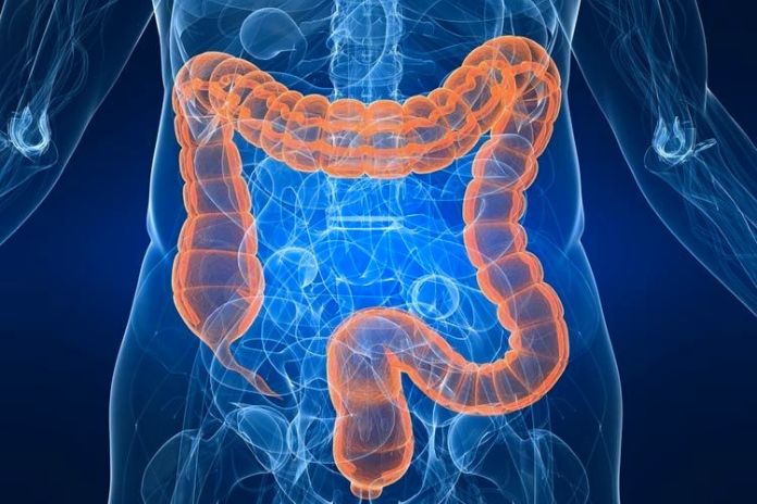 Intestinal Detox 5 Natural Remedies