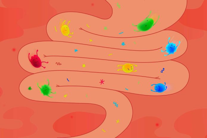 Intestinal Dysbiosis, What Is It