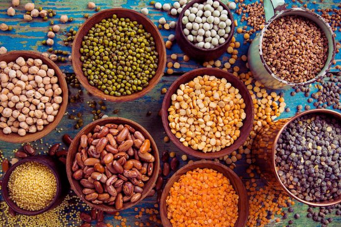 Legumes